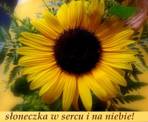 http://e-kartki.net.pl/kartki/52/1/d/16141.jpg