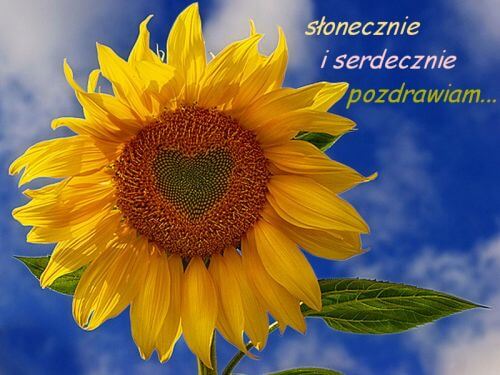 http://e-kartki.net.pl/kartki/71/5/d/slonecznie-pozdrawiam.jpg