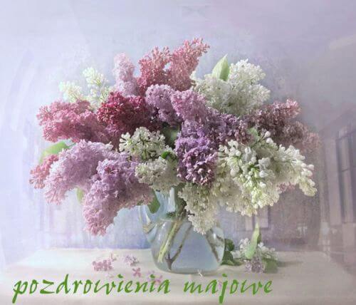 http://e-kartki.net.pl/kartki/71/6/d/liliowe-pozdrowienia.jpg