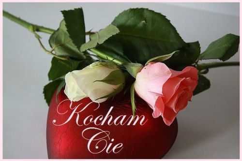Dwie róże i czerwone serce z białym napisem Kocham Cię