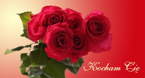 Bukiet czerwonych r� na czerwonym tle z napisem Kocham Ci�