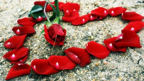 Serce u�o�one z czerwonych p�atk�w r� i p�czek r�y na piaszczystym pod�o�u