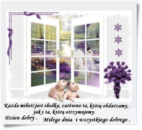Dwa szczeniaki le�� przed otwartym oknem z widokiem na par� i ogr�d z fioletowymi kwiatami