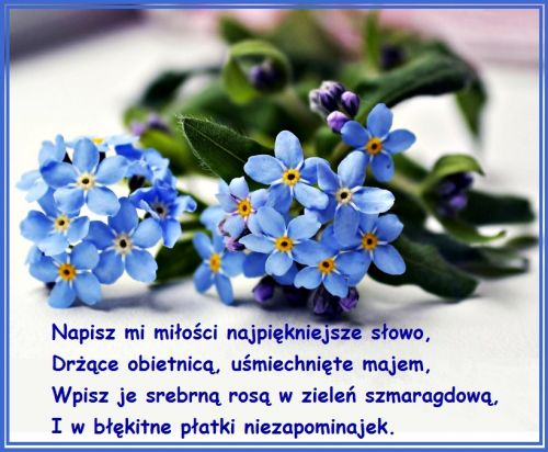 Kartka Napisz mi mi�o�ci najpi�kniejsze s�owo...