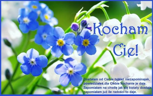 Niebieskie niezapominajki i bia�a konwalia z napisem Kocham Ci� i wierszykiem