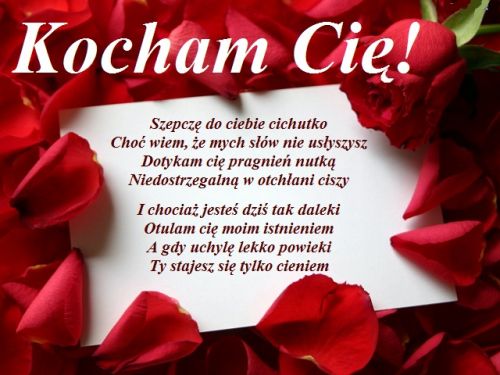 Czerwone płatki róż, napis Kocham Cię i romantyczny wiersz na białym tle