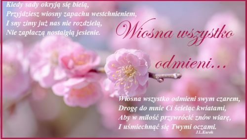 R�owe kwiaty na tle rozmytego sadu z poetyckim tekstem Wiosna wszystko odmieni