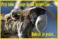 Przy Tobie czuj� si� tak bezpiecznie...