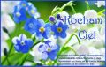 Dzi� dosta�am od Ciebie kwiaty...Kocham Ci�!