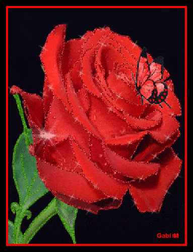 L�ni�ca czerwona r�a z zielon� �odyg� i czarnym motylem na p�atkach
