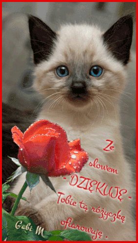 Kartka Dla Ciebie❤️ze s�owem dzi�kuj� ...