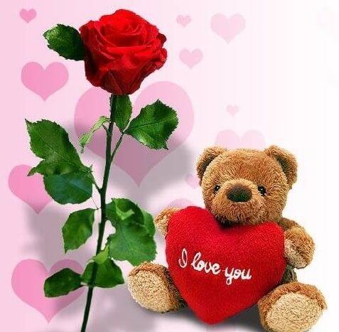 Czerwona r�a i br�zowy pluszowy mi� trzymaj�cy serce z napisem I love you
