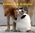 Zakochani