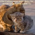 Mi�o��