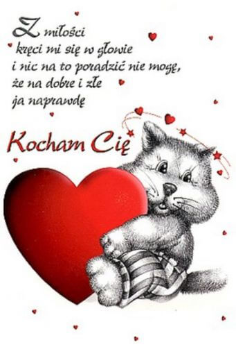 Szary kot przytula wielkie czerwone serce, obok romantyczny napis i ma�e serduszka