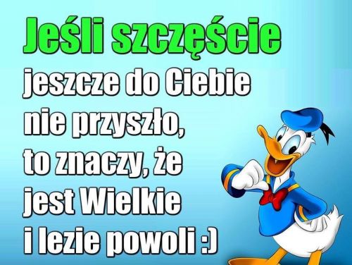 Kaczor Donald na niebieskim tle z napisem: Je�li szcz�cie jeszcze do Ciebie nie przysz�o