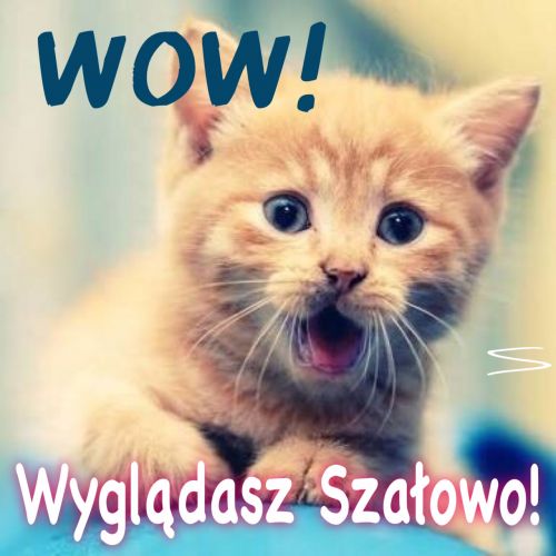 Zaskoczony rudy kot z szeroko otwartym pyszczkiem oraz napisy Wow i Wygl�dasz Sza�owo
