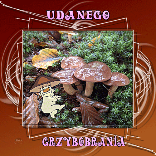 B�yszcz�ce grzyby w lesie, zabawna posta� grzybka i napis Udanego Grzybobrania na br�zowym tle