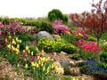 wiosenny ogródek