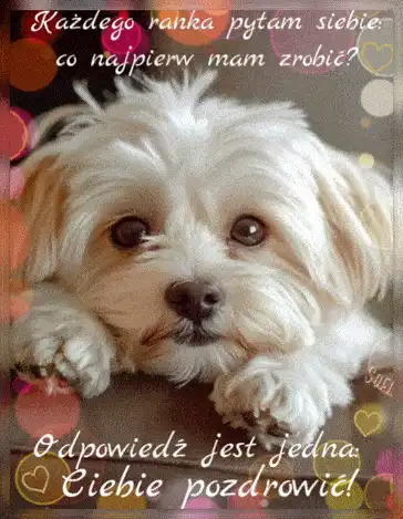 Kartka    Pozdrawiam i �ycz� udanego dnia!