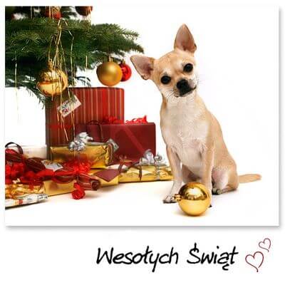 Kartka Weso�ych �wi�t