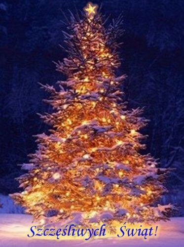 Kartka Pe�nych mi�o�ci i rodzinnego ciep�a �wi�t! 