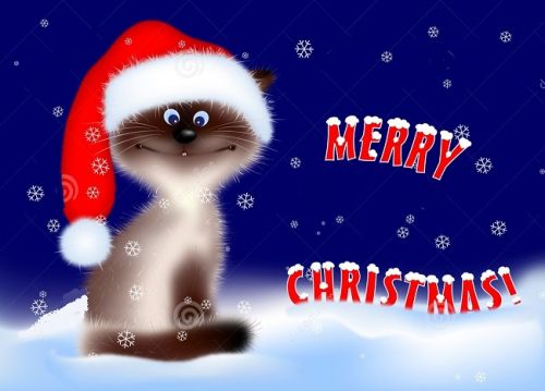 Kartka MERRY CHTISTMAS!