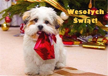 Kartka Weso�ych �wi�t!