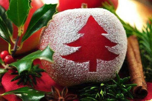 Kartka Najpiekniejszych �wi�t Bo�ego Narodzenia