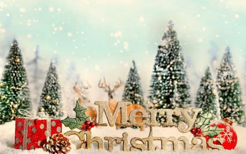 Kartka MERRY CHRYSTMAS