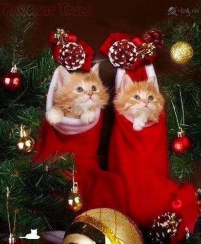 Kartka Milutkich �wi�t!