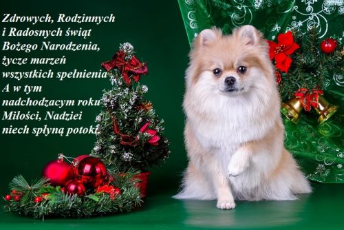 Kartka Zdrowych, Radosnych i Najpi�kniejszych �wi�t!