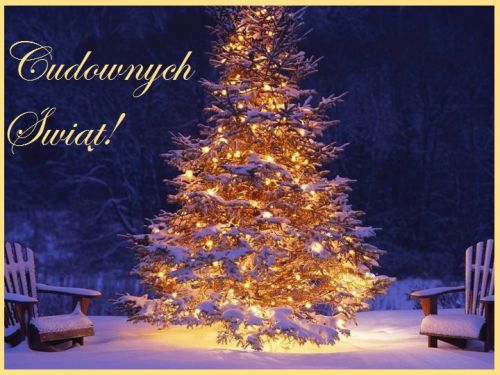 O�nie�ona choinka z ��tymi lampkami, dwa fotele w �niegu i z�oty napis Cudownych �wi�t