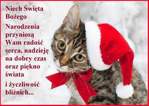 Kartka Najlepsze �yczenia na Bo�e Narodzenie