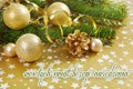 Weso�ych �wi�t Bo�ego Narodzenia!