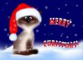 MERRY CHTISTMAS!