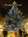 �wi�t cudownie sp�dzonych, zdrowych i weso�ych!