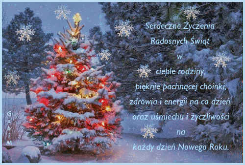Kartka Radosnych �wi�t i Wiele �yczliwo�ci na Nowy Rok !