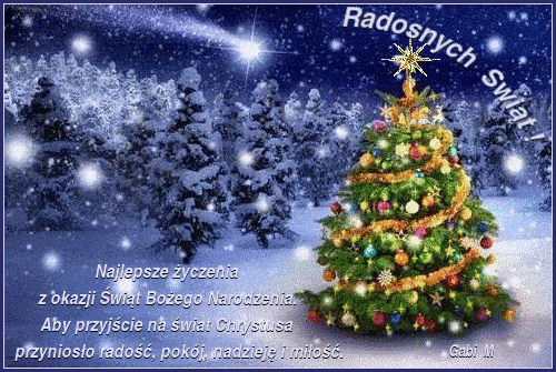 Kartka Szcz�liwych i Radosnych �wi�t Bo�ego Narodzenia !