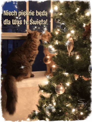 Kartka Niech pi�kne b�d� dla Was te �wi�ta!