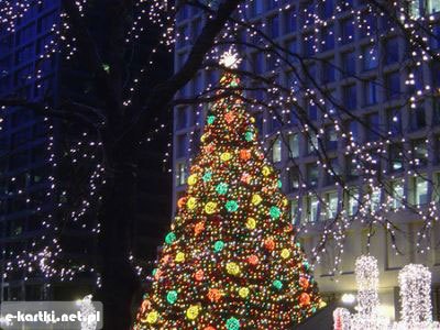 Kartka Choinka na Bo�e Narodzenie