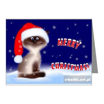 Kartka Merry Christmas