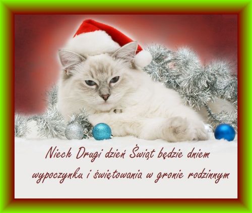 Kartka Spokojnego i milutkiego dnia �wi�tecznego!