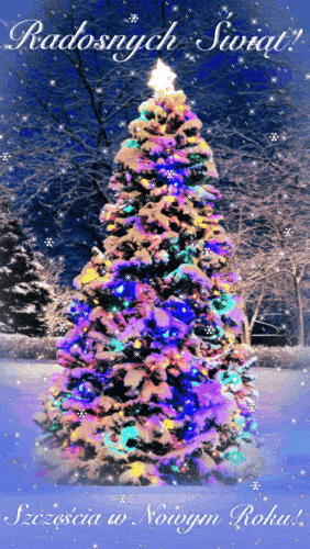 Kartka Radosnych �wi�t Bo�ego Narodzenia!