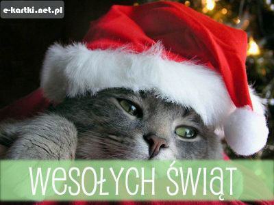 Kartka Weso�ych �wi�t