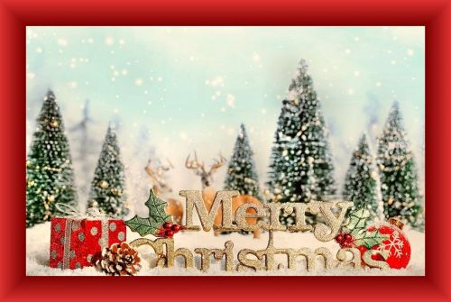 Kartka MERRY CHRISTMAS! WESO�YCH �WI�T!