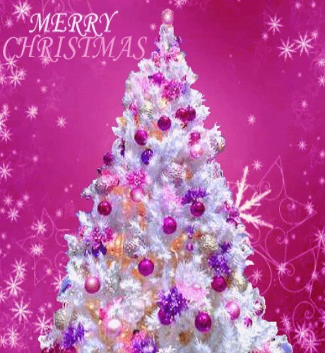 Kartka Merry Christmas