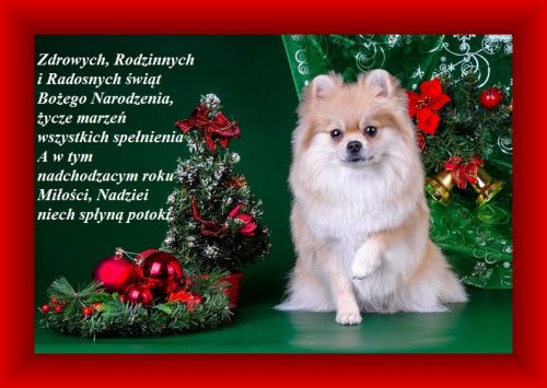 Kartka Weso�ych �wi�t i Szcz�liwego Nowego Roku!