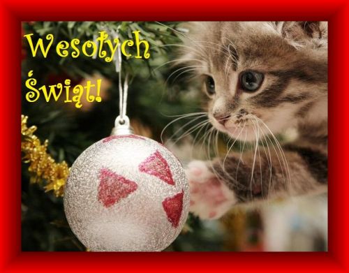 Kartka S�odkich, radosnych �wi�t Bo�ego Narodzenia!