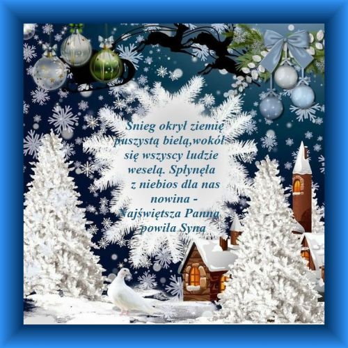 Kartka Panna porodzi�a Syna! Weso�ych �wi�t!